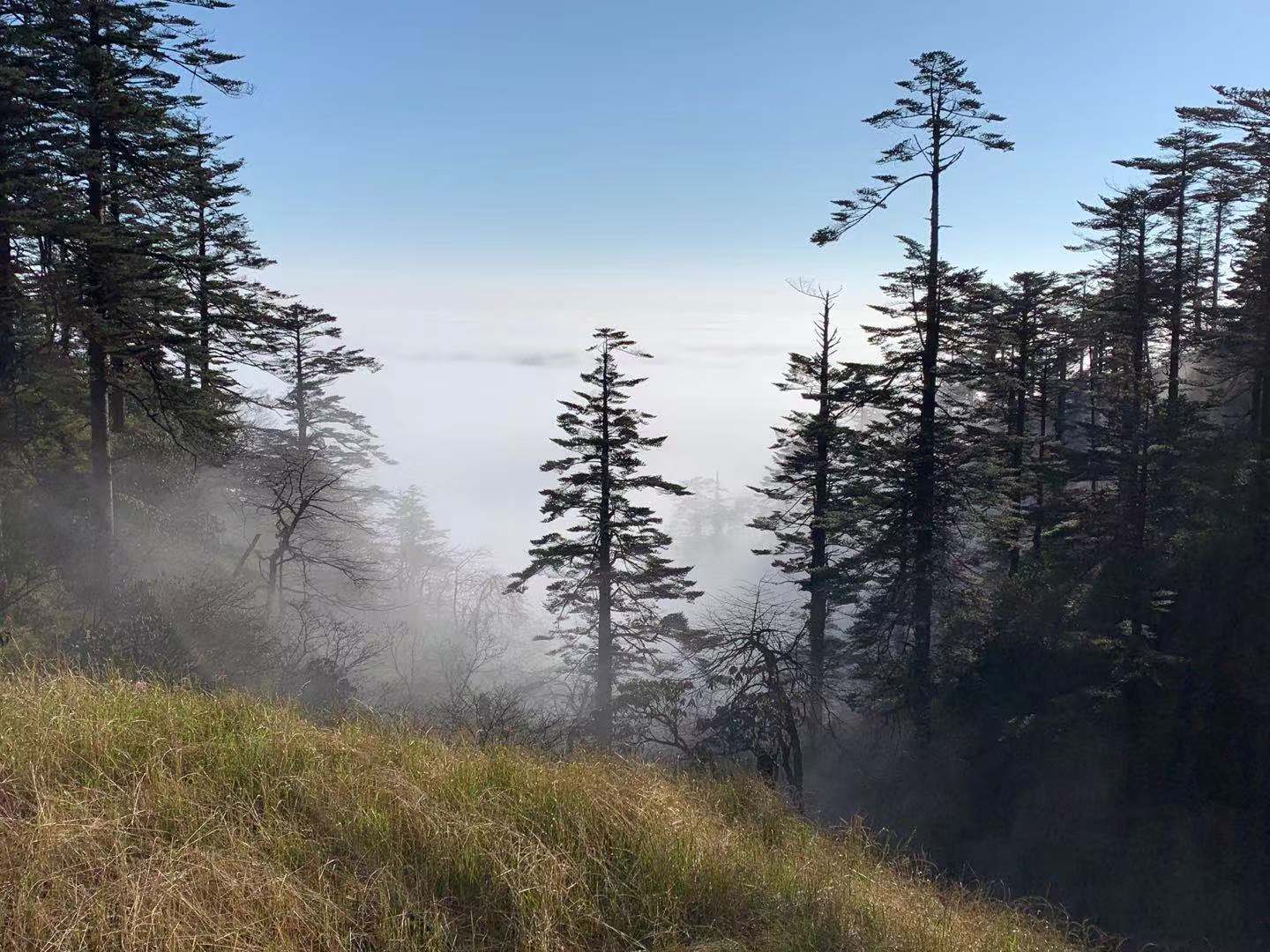 1583409379878328.jpg 1583409379878328.jpg